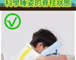 日式午睡趴趴枕